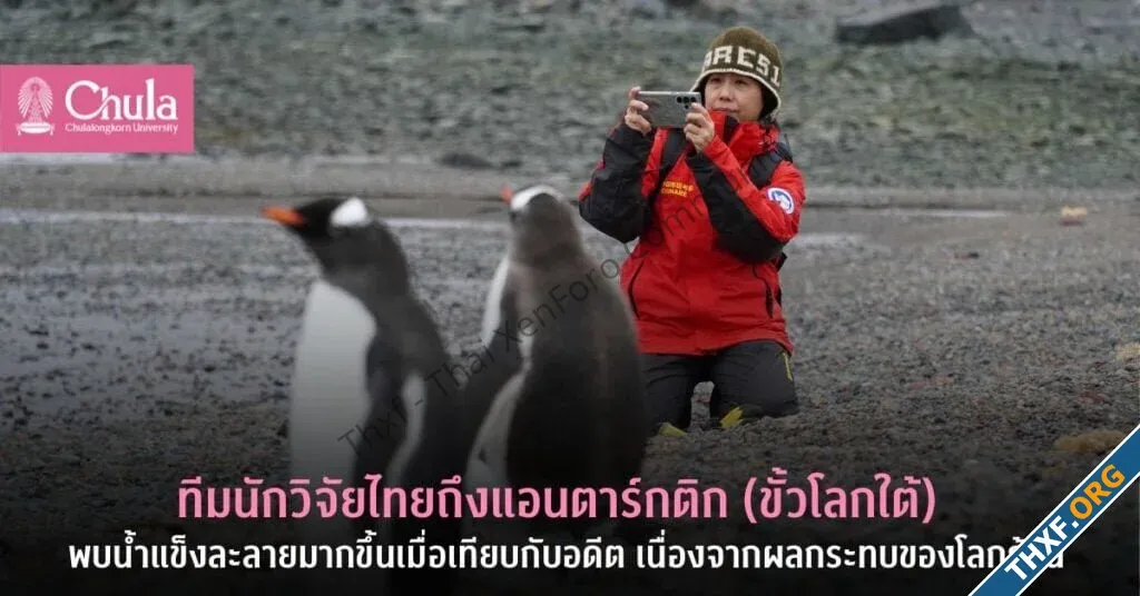 ไทยส่งทีมนักวิจัยไปสถานีวิจัยขั้วโลกใต้นาน 28 วัน ศึกษาผลกระทบของขยะทะเลภูมิอากาศ-1.webp