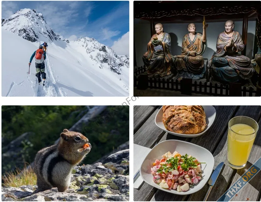 Adobe ออกแอปทดลอง Project Indigo ให้กล้องสมาร์ทโฟนถ่ายภาพเหมือน SLR มากขึ้น-2.webp
