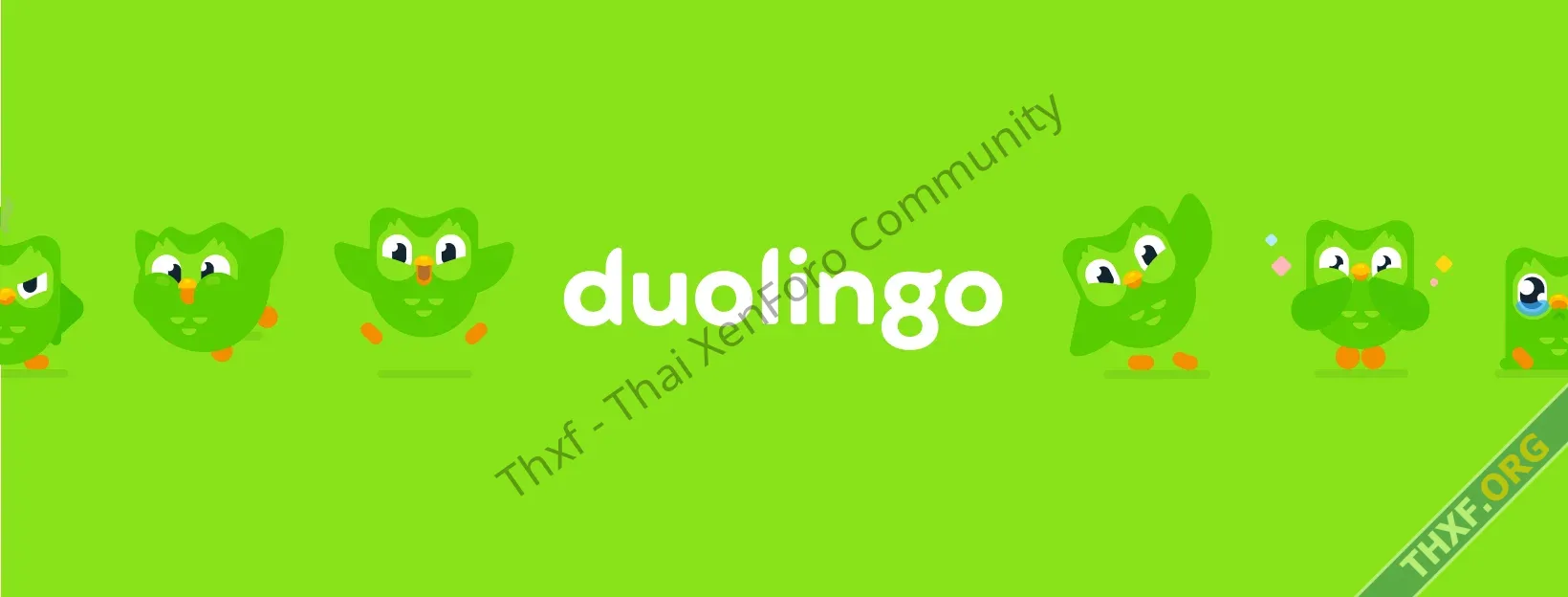 Duolingo เพิ่มหลักสูตรเป็นเท่าตัว พัฒนาโดย Gen AI หลังเอา AI มาแทนพนักงานสัญญาจ้าง-1.webp