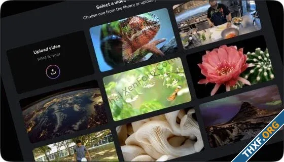 Meta โอเพนซอร์ส Video Seal เครื่องมือใส่ลายน้ำในวิดีโอที่สร้างจาก AI-1.webp