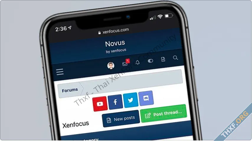 xenfocus Novus-5.webp