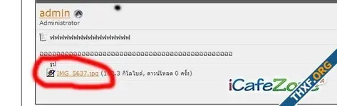 vvvv.webp