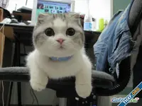 282824_10150930878547685_656265874_n.webp