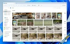 6ad8f4633d5b7c8f34c8d05be9a8da05.webp