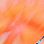 OpenAI ปรับโครงสร้างบอร์ดประเมินความปลอดภัย AI ให้เป็นหน่วยงานอิสระ ตัดผู้บริหารออก
