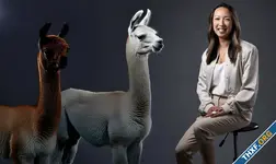 Meta แต่งตั้ง Clara Shih จาก Salesforce AI เป็นหัวหน้าฝ่ายใหม่ Business AI