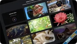 Meta โอเพนซอร์ส Video Seal เครื่องมือใส่ลายน้ำในวิดีโอที่สร้างจาก AI