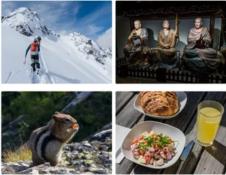 Adobe ออกแอปทดลอง Project Indigo ให้กล้องสมาร์ทโฟนถ่ายภาพเหมือน SLR มากขึ้น-2.webp Adobe ออกแอปทดลอง Project Indigo ให้กล้องสมาร์ทโฟนถ่ายภาพเหมือน SLR มากขึ้น-2.webp