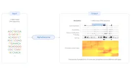 DeepMind เปิดตัว AlphaGenome โมเดลทำนายการกลายพันธุ์ของ DNA