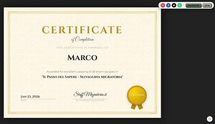 certificate.webp