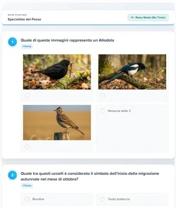 Quiz System PRO Gamification Analytics Certificate User Engagement-4.webp