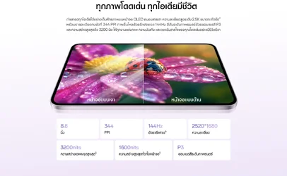 เปิดตัว OPPO Pad Mini Matte Display หน้าจอ OLED ไซซ์เล็ก 144Hz ใช้งานลื่น รองรับปากกา ราคา 29...webp เปิดตัว OPPO Pad Mini Matte Display หน้าจอ OLED ไซซ์เล็ก 144Hz ใช้งานลื่น รองรับปากกา ราคา 29...webp