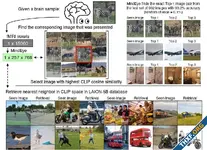 cbe366dc1e7de6a6477fe9a3208e0f60.webp