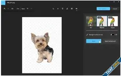 Windows Photos เพิ่มปุ่มลบภาพพื้นหลังอัตโนมัติ เปลี่ยนเป็นพื้นหลังโปร่งใสได้
