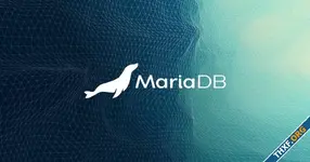 MariaDB ได้รับข้อเสนอซื้อกิจการและนำบริษัทออกจากตลาดหุ้น ที่มูลค่า 37 ล้านดอลลาร์