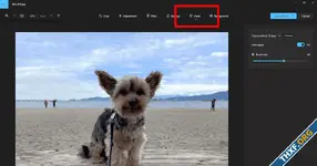 9e2272e10d0233e4b4c5ed9d93cbb41c.webp