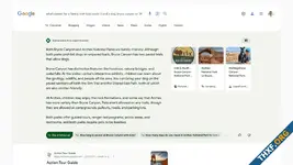 Google ชี้แจงปัญหา AI Overviews ให้คำตอบแปลก ๆ ยืนยัน แก้ไขเร็ว-ปรับปรุงต่อเนื่อง