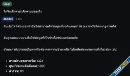 กูเกิลปล่อย Gemma 2 โมเดล LLM โหลดไปใช้งานเองได้ เก่งกว่า Gemini 1.0