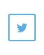 Twitter.webp