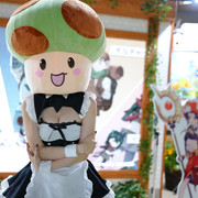 DSC00732-2025-09-27-T16-36-14-886
