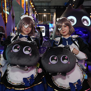 DSC01155 DSC01155