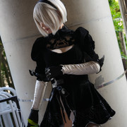 DSC01185 DSC01185